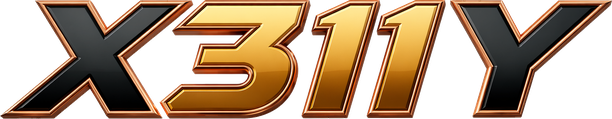 x311y
